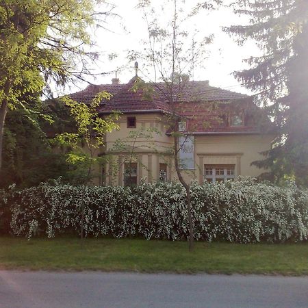 Villa Ricz Palić Eksteriør bilde