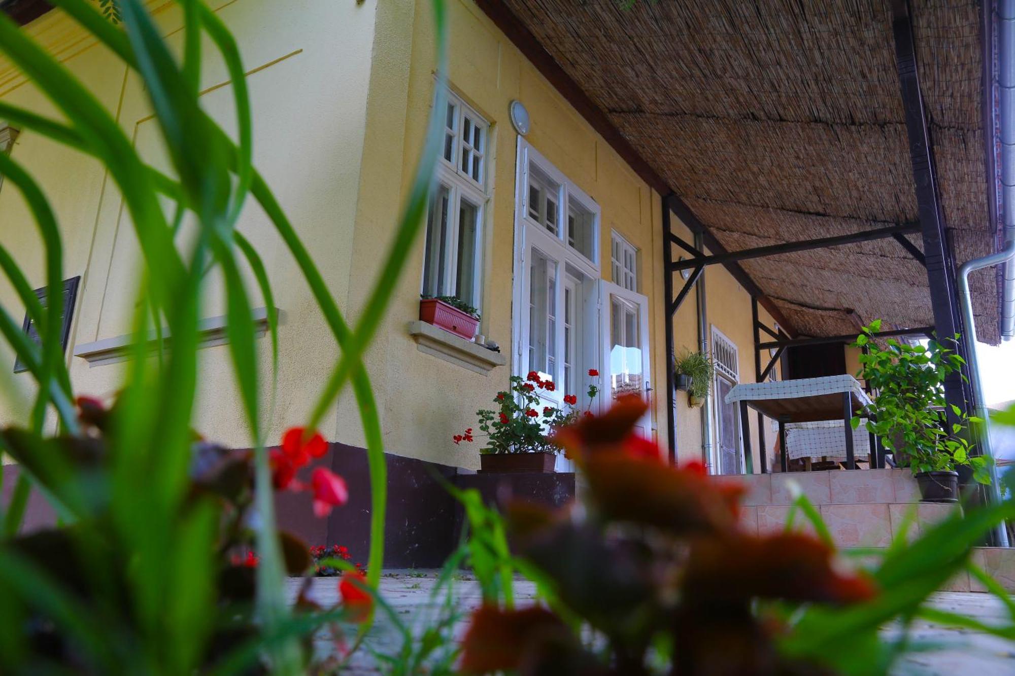 Villa Ricz Palić Eksteriør bilde