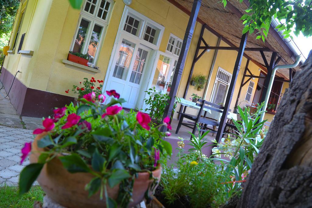 Villa Ricz Palić Eksteriør bilde